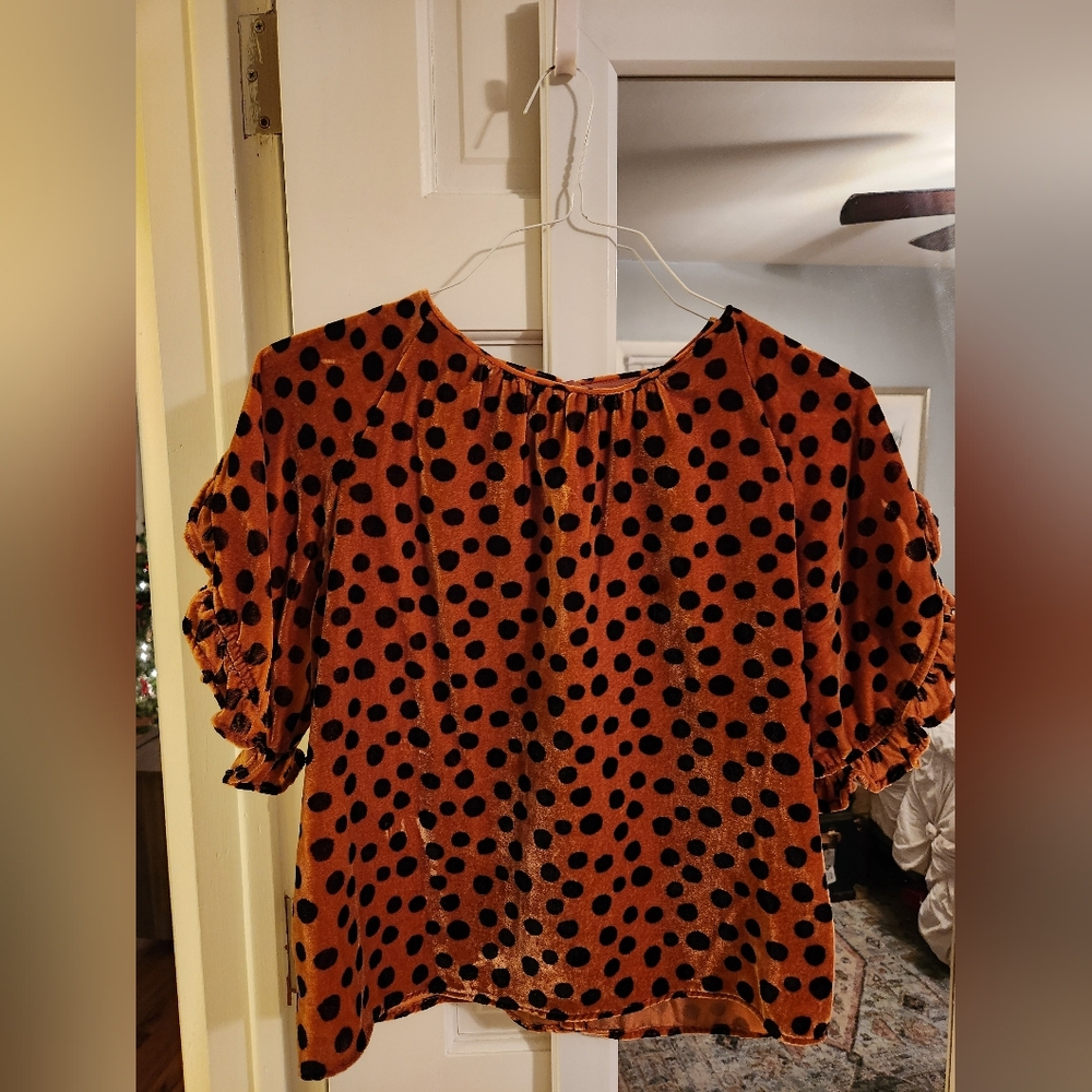 Madewell Small Polka Dot Velvet Blouse